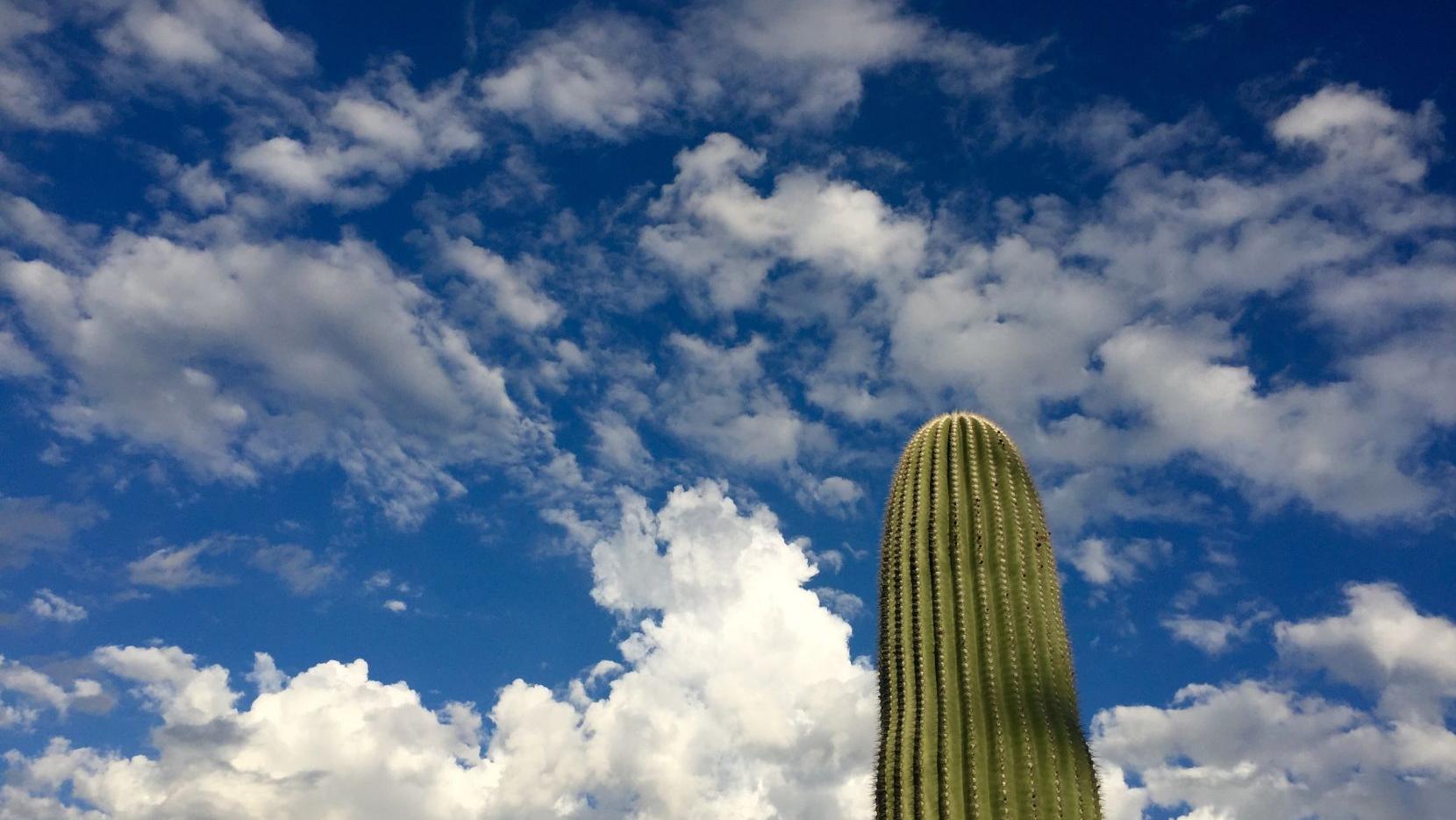 Tucson weather: Unseasonably warm temperatures continue through the week